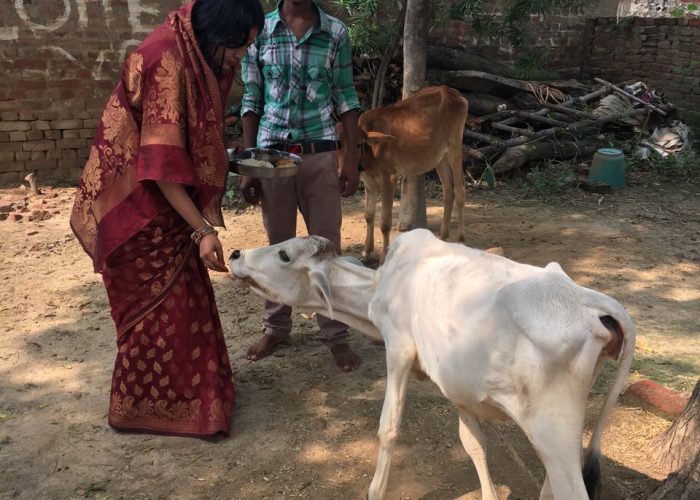 SANJEEVANI BOOTI 2 : GAU SEWA