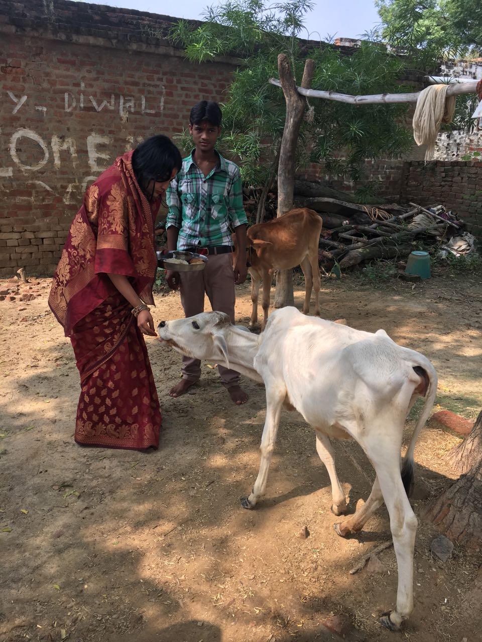 SANJEEVANI BOOTI 2 : GAU SEWA